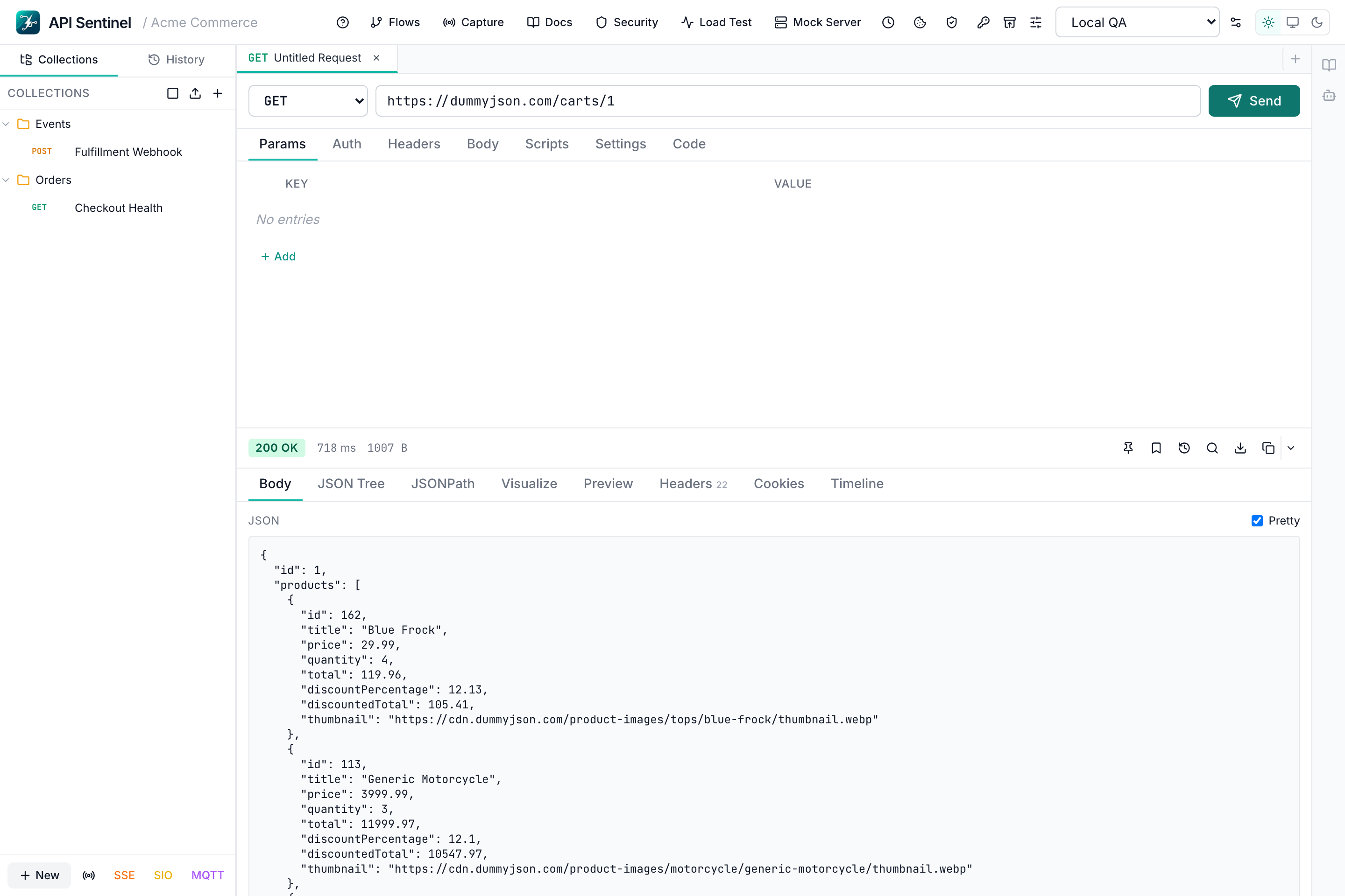 API Sentinel main workspace — REST API testing, response inspection, collections and environments — runs fully locally with no cloud sync